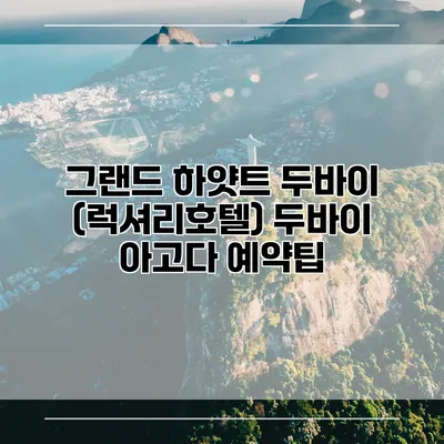 그랜드 하얏트 두바이 (럭셔리호텔) 두바이 아고다 예약팁