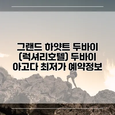 그랜드 하얏트 두바이 (럭셔리호텔) 두바이 아고다 최저가 예약정보