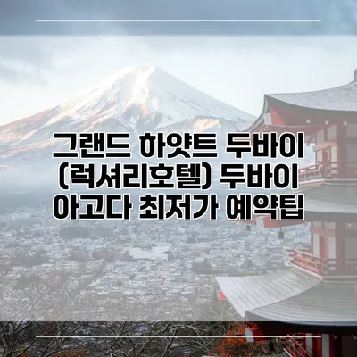 그랜드 하얏트 두바이 (럭셔리호텔) 두바이 아고다 최저가 예약팁