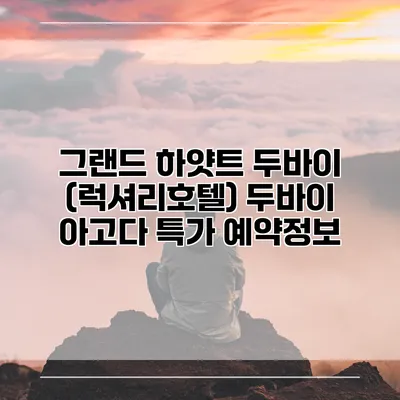 그랜드 하얏트 두바이 (럭셔리호텔) 두바이 아고다 특가 예약정보