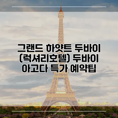 그랜드 하얏트 두바이 (럭셔리호텔) 두바이 아고다 특가 예약팁