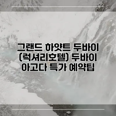 그랜드 하얏트 두바이 (럭셔리호텔) 두바이 아고다 특가 예약팁
