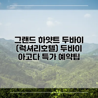 그랜드 하얏트 두바이 (럭셔리호텔) 두바이 아고다 특가 예약팁