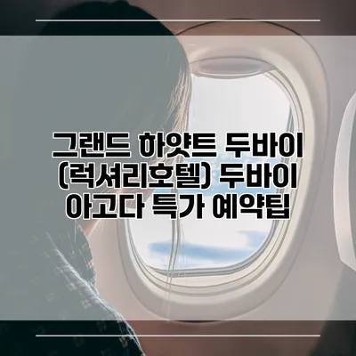 그랜드 하얏트 두바이 (럭셔리호텔) 두바이 아고다 특가 예약팁