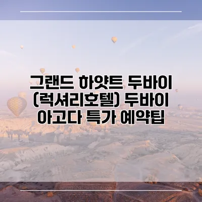 그랜드 하얏트 두바이 (럭셔리호텔) 두바이 아고다 특가 예약팁