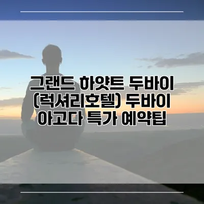 그랜드 하얏트 두바이 (럭셔리호텔) 두바이 아고다 특가 예약팁