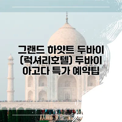 그랜드 하얏트 두바이 (럭셔리호텔) 두바이 아고다 특가 예약팁