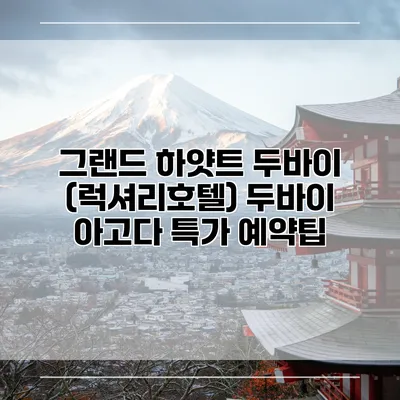 그랜드 하얏트 두바이 (럭셔리호텔) 두바이 아고다 특가 예약팁