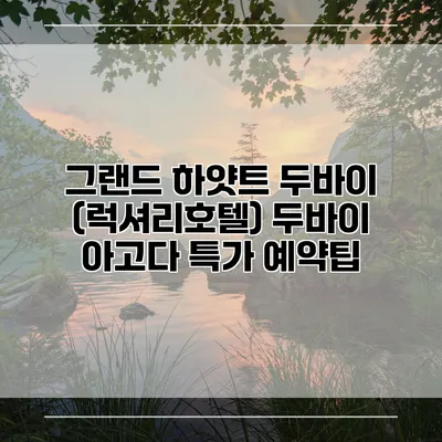그랜드 하얏트 두바이 (럭셔리호텔) 두바이 아고다 특가 예약팁
