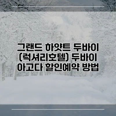 그랜드 하얏트 두바이 (럭셔리호텔) 두바이 아고다 할인예약 방법