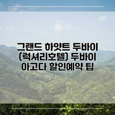그랜드 하얏트 두바이 (럭셔리호텔) 두바이 아고다 할인예약 팁