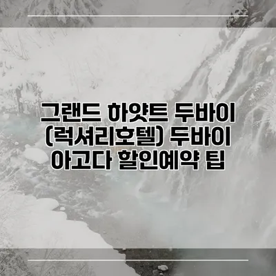 그랜드 하얏트 두바이 (럭셔리호텔) 두바이 아고다 할인예약 팁