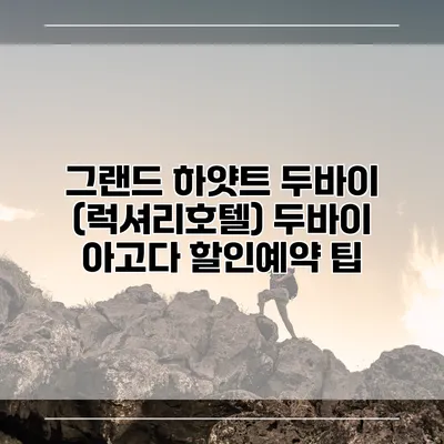 그랜드 하얏트 두바이 (럭셔리호텔) 두바이 아고다 할인예약 팁