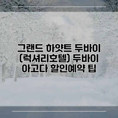 그랜드 하얏트 두바이 (럭셔리호텔) 두바이 아고다 할인예약 팁