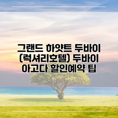 그랜드 하얏트 두바이 (럭셔리호텔) 두바이 아고다 할인예약 팁