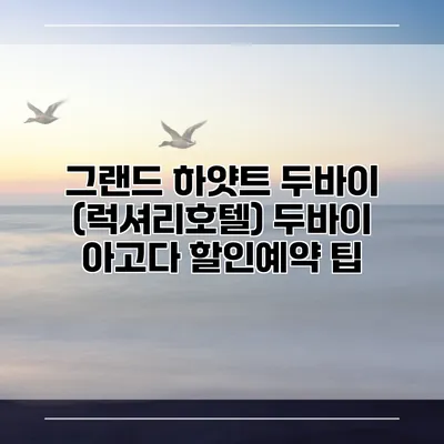 그랜드 하얏트 두바이 (럭셔리호텔) 두바이 아고다 할인예약 팁