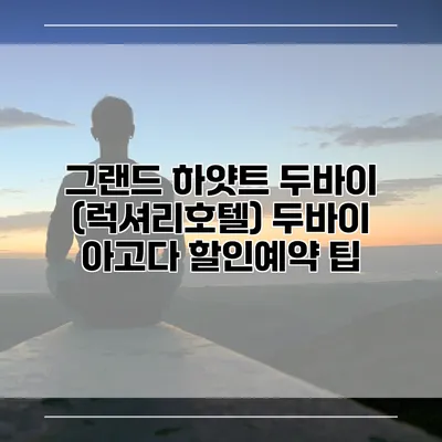 그랜드 하얏트 두바이 (럭셔리호텔) 두바이 아고다 할인예약 팁