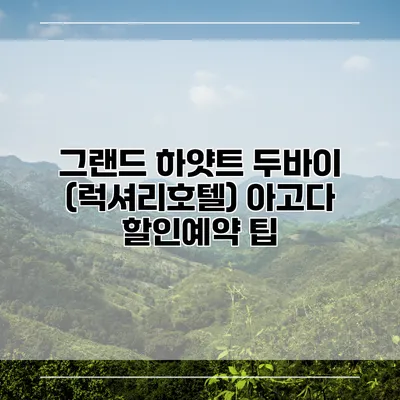 그랜드 하얏트 두바이 (럭셔리호텔) 아고다 할인예약 팁