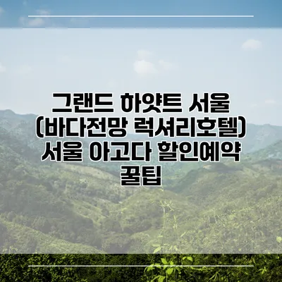 그랜드 하얏트 서울 (바다전망 럭셔리호텔) 서울 아고다 할인예약 꿀팁