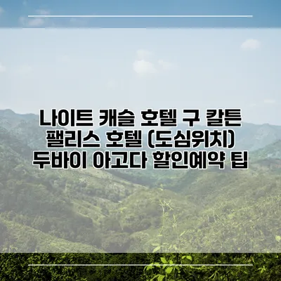 나이트 캐슬 호텔 구 칼튼 팰리스 호텔 (도심위치) 두바이 아고다 할인예약 팁