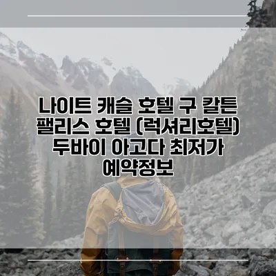 나이트 캐슬 호텔 구 칼튼 팰리스 호텔 (럭셔리호텔) 두바이 아고다 최저가 예약정보