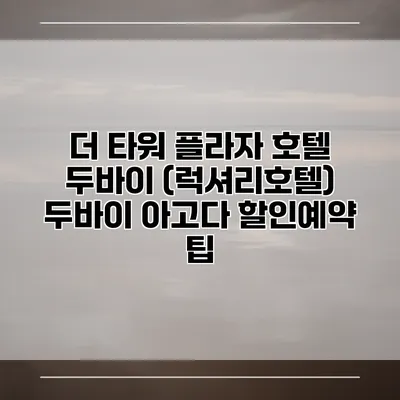 더 타워 플라자 호텔 두바이 (럭셔리호텔) 두바이 아고다 할인예약 팁