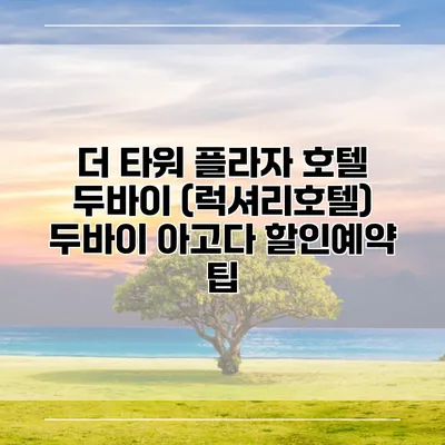 더 타워 플라자 호텔 두바이 (럭셔리호텔) 두바이 아고다 할인예약 팁