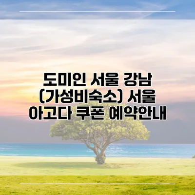 도미인 서울 강남 (가성비숙소) 서울 아고다 쿠폰 예약안내