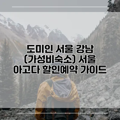 도미인 서울 강남 (가성비숙소) 서울 아고다 할인예약 가이드