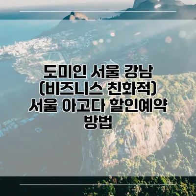 도미인 서울 강남 (비즈니스 친화적) 서울 아고다 할인예약 방법