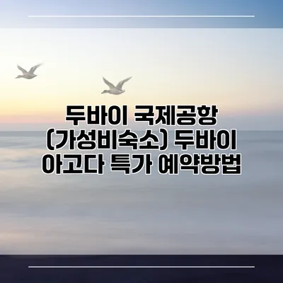 두바이 국제공항 (가성비숙소) 두바이 아고다 특가 예약방법