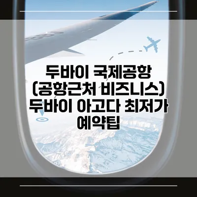 두바이 국제공항 (공항근처 비즈니스) 두바이 아고다 최저가 예약팁
