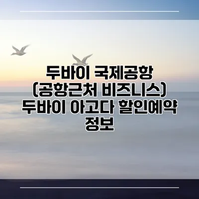 두바이 국제공항 (공항근처 비즈니스) 두바이 아고다 할인예약 정보