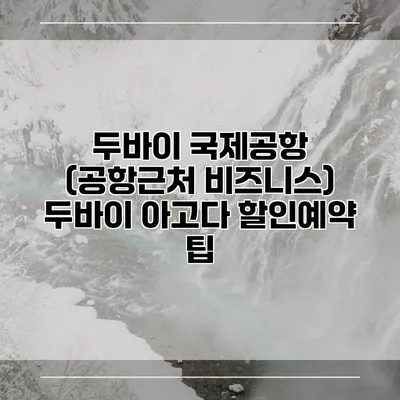 두바이 국제공항 (공항근처 비즈니스) 두바이 아고다 할인예약 팁