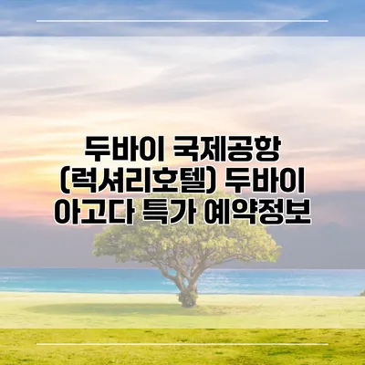 두바이 국제공항 (럭셔리호텔) 두바이 아고다 특가 예약정보