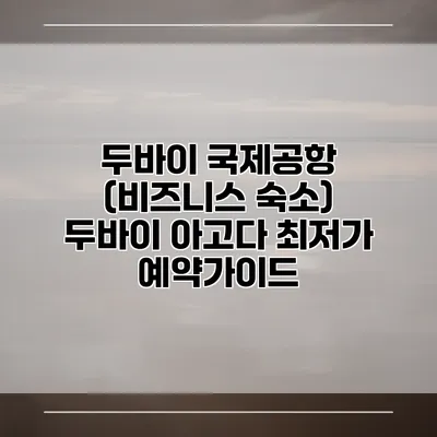 두바이 국제공항 (비즈니스 숙소) 두바이 아고다 최저가 예약가이드