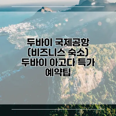 두바이 국제공항 (비즈니스 숙소) 두바이 아고다 특가 예약팁