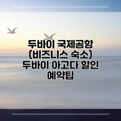 두바이 국제공항 (비즈니스 숙소) 두바이 아고다 할인 예약팁