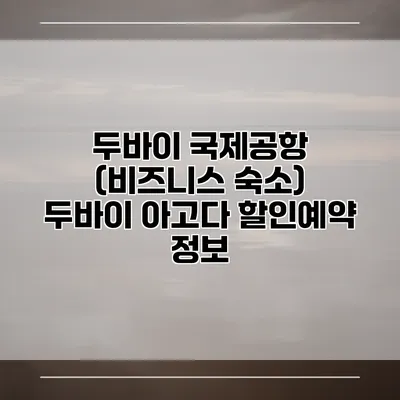 두바이 국제공항 (비즈니스 숙소) 두바이 아고다 할인예약 정보