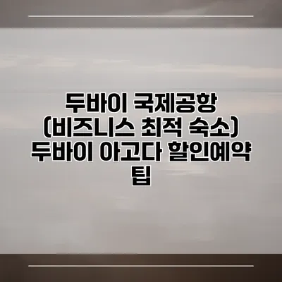 두바이 국제공항 (비즈니스 최적 숙소) 두바이 아고다 할인예약 팁