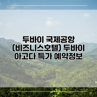 두바이 국제공항 (비즈니스호텔) 두바이 아고다 특가 예약정보