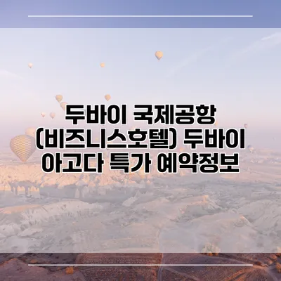 두바이 국제공항 (비즈니스호텔) 두바이 아고다 특가 예약정보