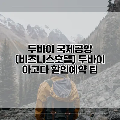 두바이 국제공항 (비즈니스호텔) 두바이 아고다 할인예약 팁