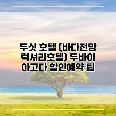 두싯 호텔 (바다전망 럭셔리호텔) 두바이 아고다 할인예약 팁