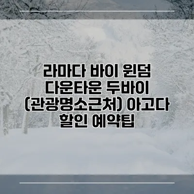 라마다 바이 윈덤 다운타운 두바이 (관광명소근처) 아고다 할인 예약팁