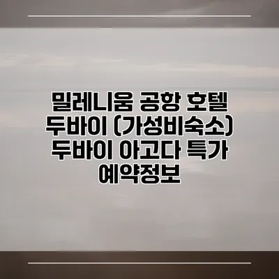 밀레니움 공항 호텔 두바이 (가성비숙소) 두바이 아고다 특가 예약정보