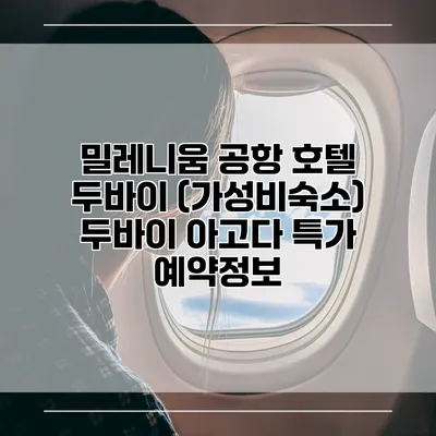 밀레니움 공항 호텔 두바이 (가성비숙소) 두바이 아고다 특가 예약정보