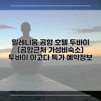 밀레니움 공항 호텔 두바이 (공항근처 가성비숙소) 두바이 아고다 특가 예약정보