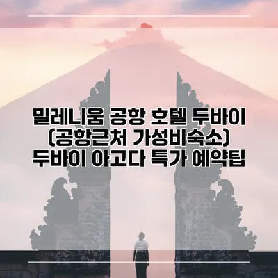 밀레니움 공항 호텔 두바이 (공항근처 가성비숙소) 두바이 아고다 특가 예약팁