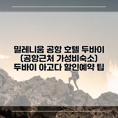 밀레니움 공항 호텔 두바이 (공항근처 가성비숙소) 두바이 아고다 할인예약 팁